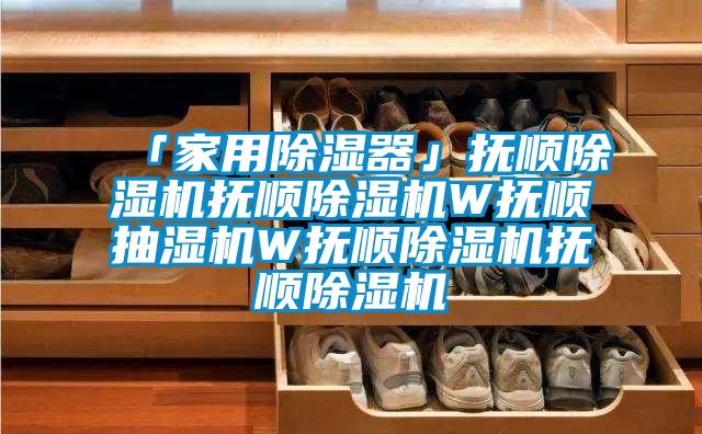 「家用91看片在线下载器」撫順91看片在线下载機撫順91看片在线下载機W撫順抽濕機W撫順91看片在线下载機撫順91看片在线下载機