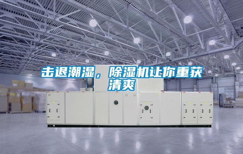 擊退潮濕，91看片在线下载機讓你重獲清爽