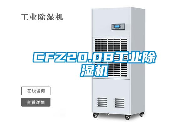 CFZ20.0B工業91看片在线下载機