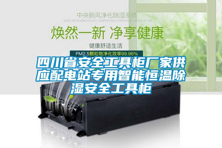 四川省安全工具櫃廠家供應配電站專用智能恒溫91看片在线下载安全工具櫃