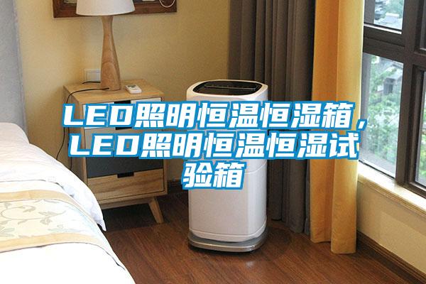 LED照明恒溫恒濕箱，LED照明恒溫恒濕試驗箱
