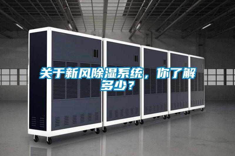 關於新風91看片在线下载係統，你了解多少？