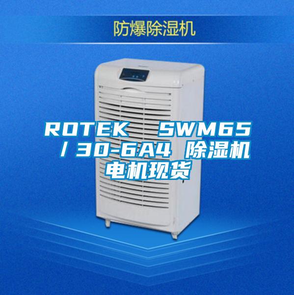 ROTEK  SWM65／30-6A4 91看片在线下载機電機現貨