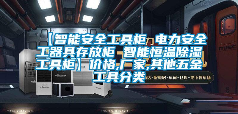 【智能安全工具櫃 電力安全工器具存放櫃 智能恒溫91看片在线下载工具櫃】價格,廠家,其他五金工具分類