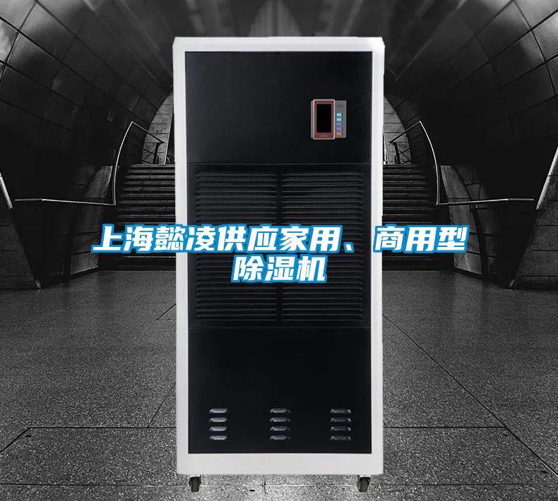 上海懿淩供應家用、商用型91看片在线下载機
