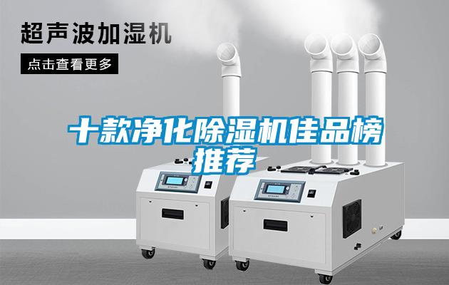 十款淨化91看片在线下载機佳品榜推薦