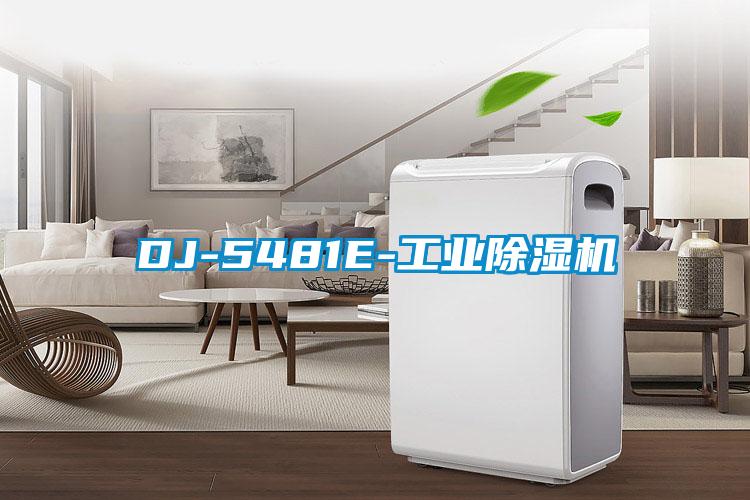 DJ-5481E-工業91看片在线下载機