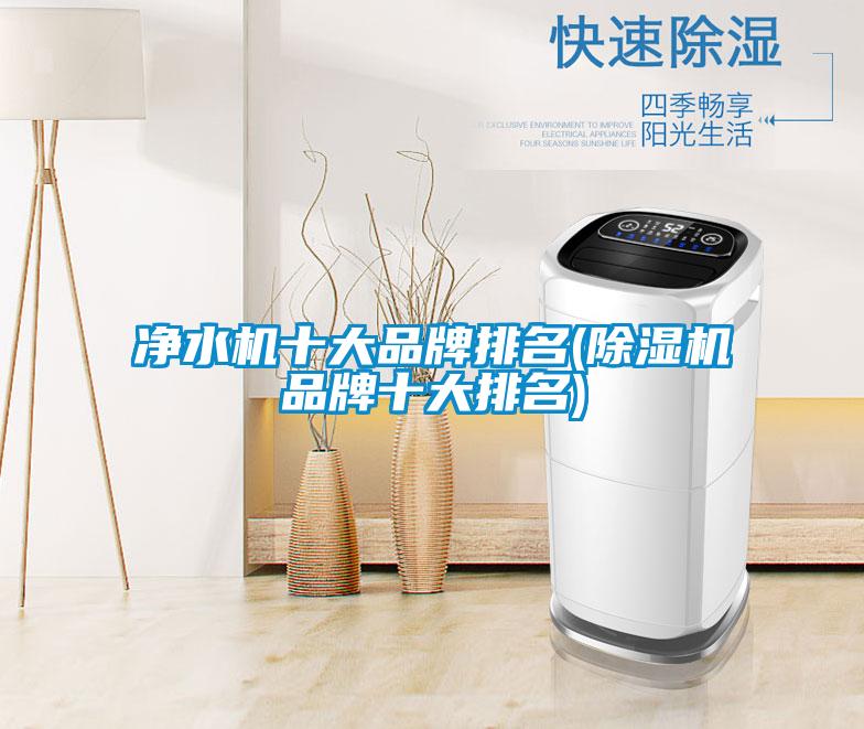 淨水機十大品牌排名(91看片在线下载機品牌十大排名)