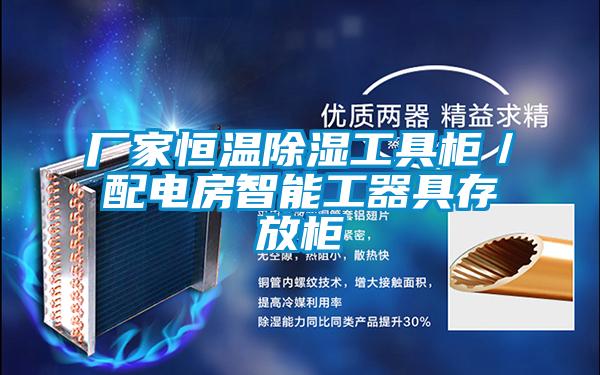 廠家恒溫91看片在线下载工具櫃／配電房智能工器具存放櫃