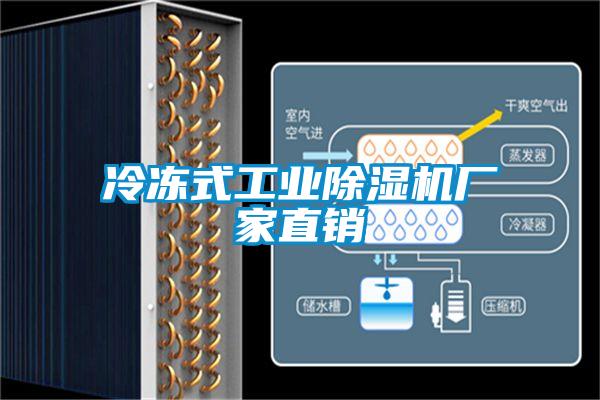 冷凍式工業91看片在线下载機廠家直銷