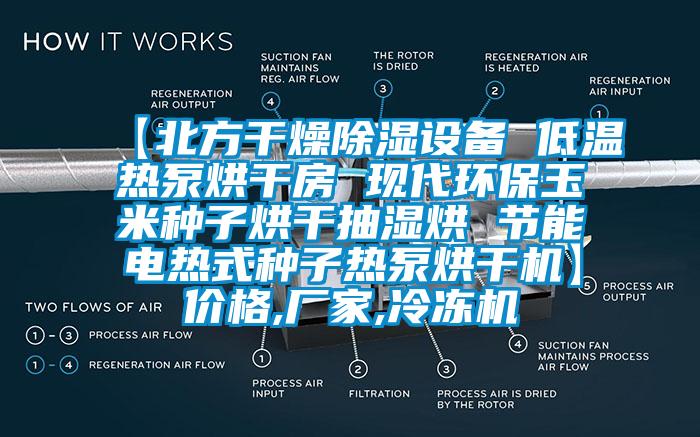 【北方幹燥91看片在线下载設備 低溫熱泵烘幹房 現代環保玉米種子烘幹抽濕烘 節能電熱式種子熱泵烘幹機】價格,廠家,冷凍機