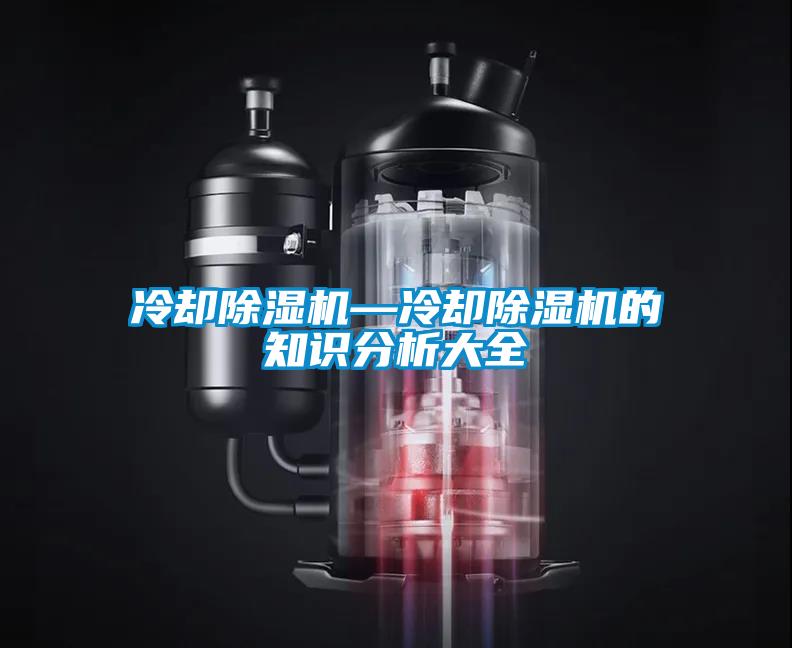 冷卻91看片在线下载機—冷卻91看片在线下载機的知識分析大全