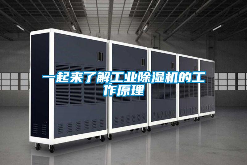 一起來了解工業91看片在线下载機的工作原理