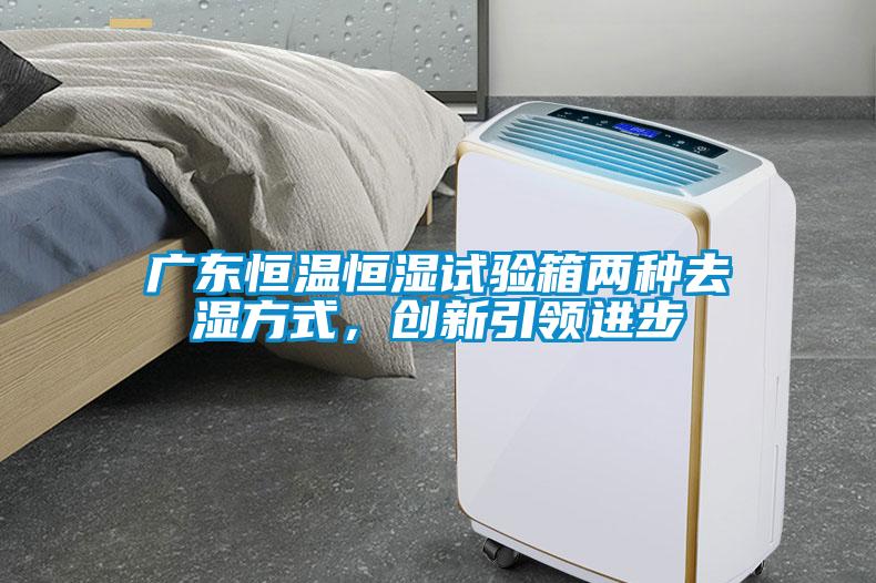 廣東恒溫恒濕試驗箱兩種去濕方式，創新引領進步