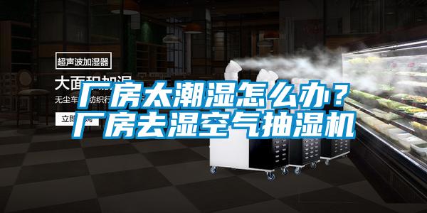 廠房太潮濕怎麽辦？廠房去濕空氣抽濕機