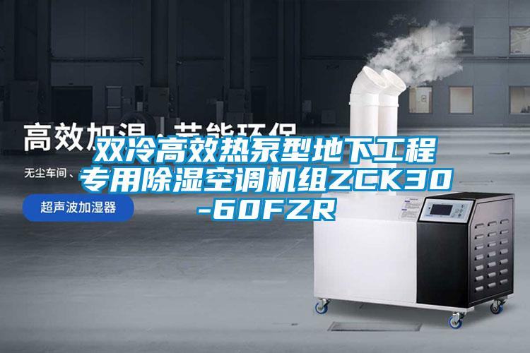 雙冷高效熱泵型地下工程專用91看片在线下载空調機組ZCK30-60FZR