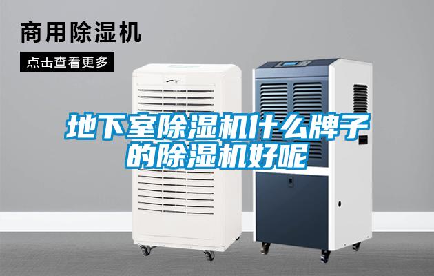 地下室91看片在线下载機什麽牌子的91看片在线下载機好呢