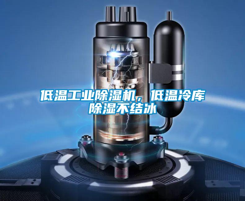 低溫工業91看片在线下载機，低溫冷庫91看片在线下载不結冰