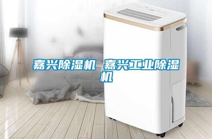嘉興91看片在线下载機 嘉興工業91看片在线下载機