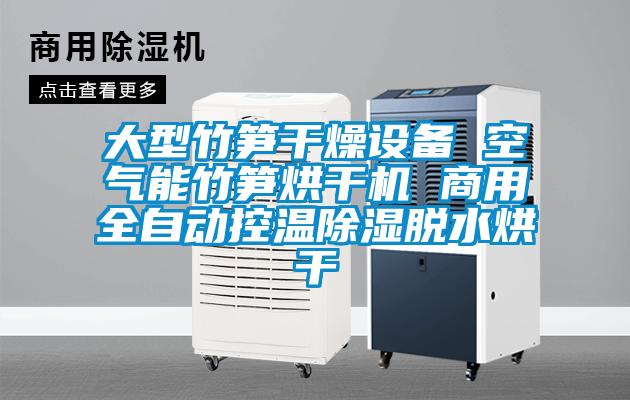 大型竹筍幹燥設備 空氣能竹筍烘幹機 商用全自動控溫91看片在线下载脫水烘幹