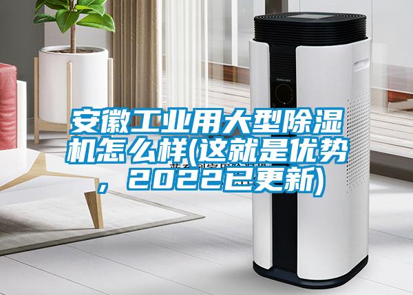 安徽工業用大型91看片在线下载機怎麽樣(這就是優勢，2022已更新)