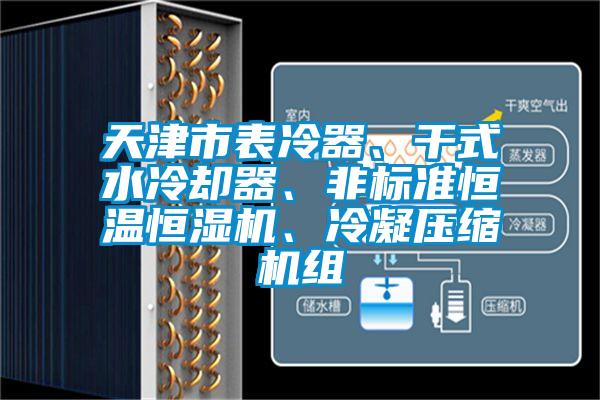 天津市表冷器、幹式水冷卻器、非標準恒溫恒濕機、冷凝壓縮機組