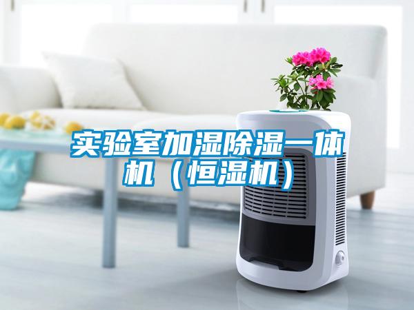 實驗室加濕91看片在线下载一體機（恒濕機）