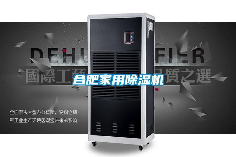 合肥家用91看片在线下载機