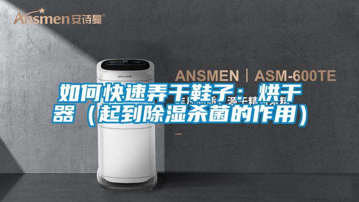 如何快速弄幹鞋子：烘幹器（起到91看片在线下载殺菌的作用）