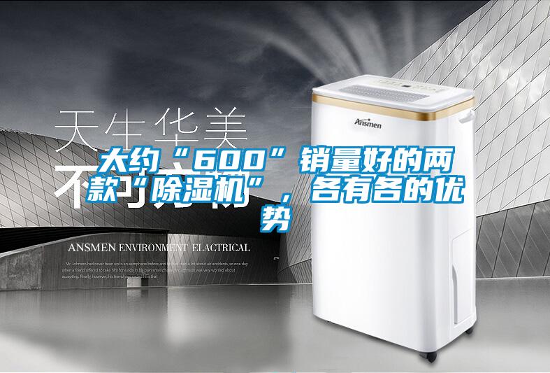 大約“600”銷量好的兩款“91看片在线下载機”，各有各的優勢