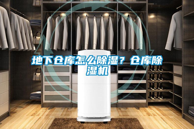 地下倉庫怎麽91看片在线下载？倉庫91看片在线下载機