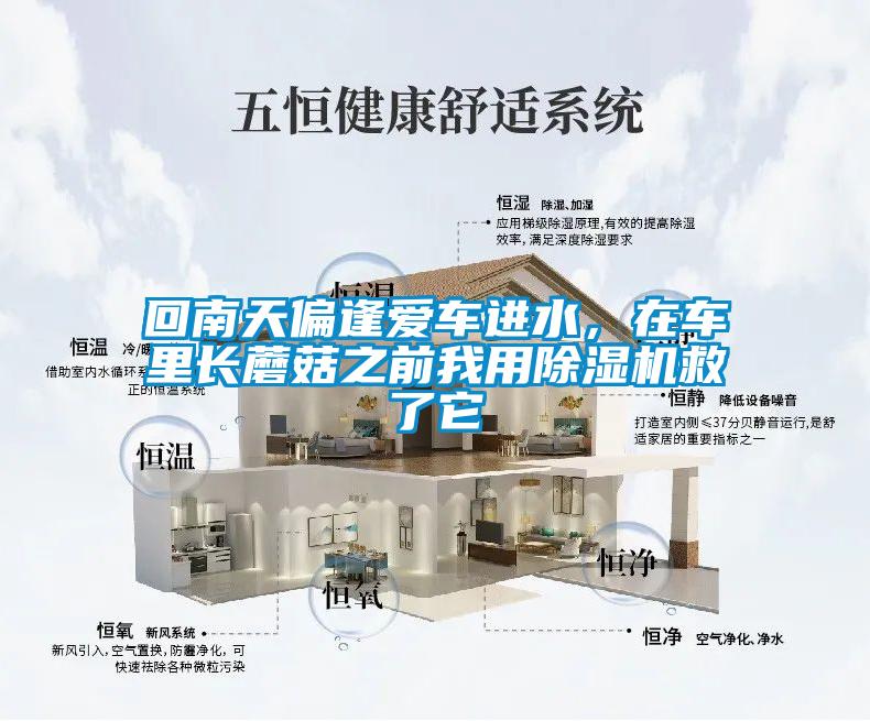 回南天偏逢愛車進水，在車裏長蘑菇之前我用91看片在线下载機救了它