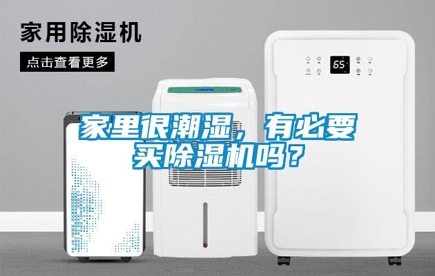 家裏很潮濕，有必要買91看片在线下载機嗎？