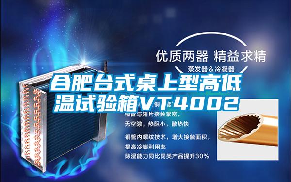 合肥台式桌上型高低溫試驗箱VT4002