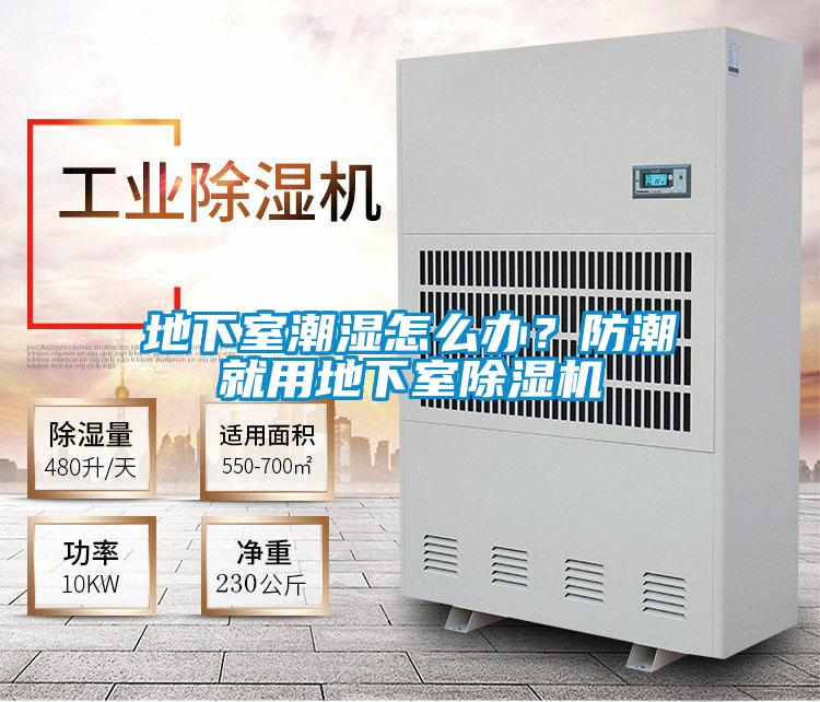 地下室潮濕怎麽辦？防潮就用地下室91看片在线下载機