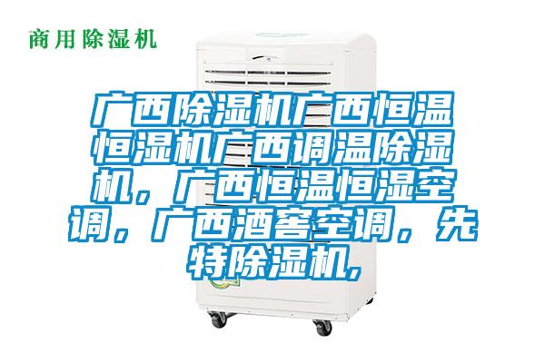 廣西91看片在线下载機廣西恒溫恒濕機廣西調溫91看片在线下载機，廣西恒溫恒濕空調，廣西酒窖空調，先特91看片在线下载機,