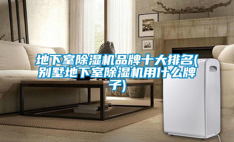 地下室91看片在线下载機品牌十大排名(別墅地下室91看片在线下载機用什麽牌子)