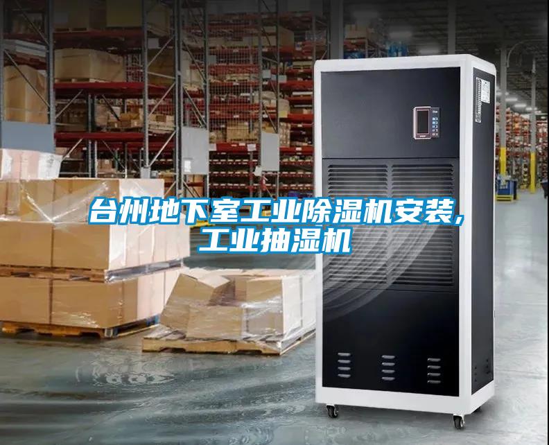 台州地下室工業91看片在线下载機安裝,工業抽濕機