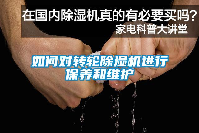 如何對轉輪91看片在线下载機進行保養和維護