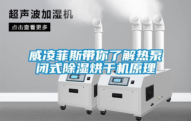威淩菲斯帶你了解熱泵閉式91看片在线下载烘幹機原理