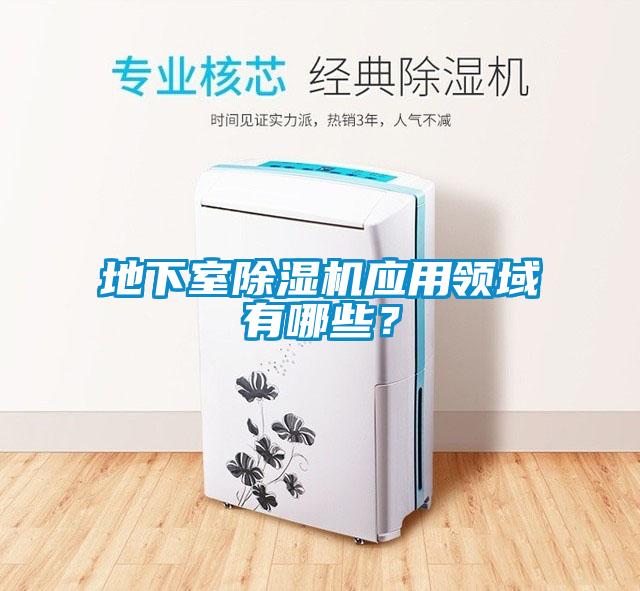 地下室91看片在线下载機應用領域有哪些？
