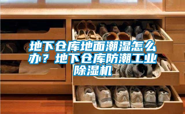 地下倉庫地麵潮濕怎麽辦？地下倉庫防潮工業91看片在线下载機