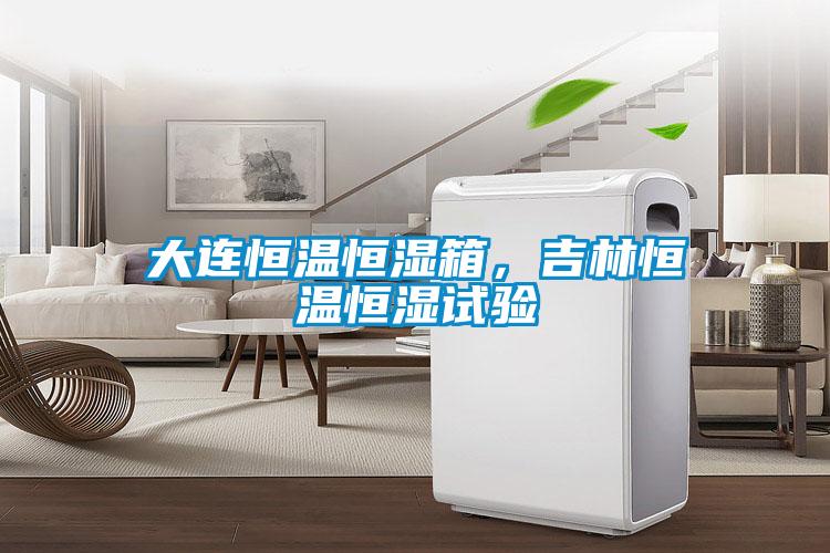 大連恒溫恒濕箱，吉林恒溫恒濕試驗