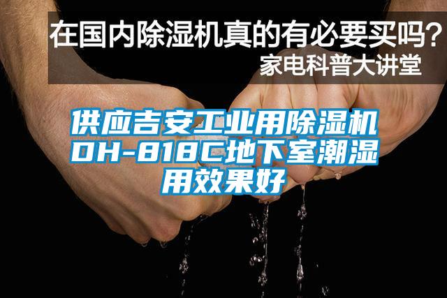 供應吉安工業用91看片在线下载機DH-818C地下室潮濕用效果好