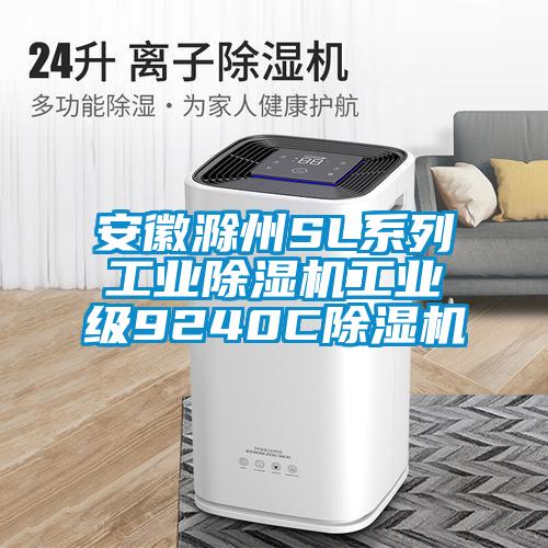 安徽滁州SL係列工業91看片在线下载機工業級9240C91看片在线下载機