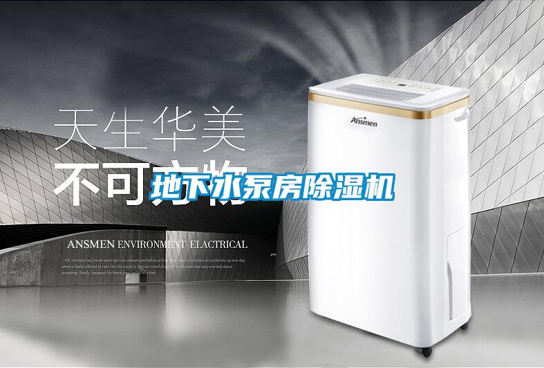 地下水泵房91看片在线下载機
