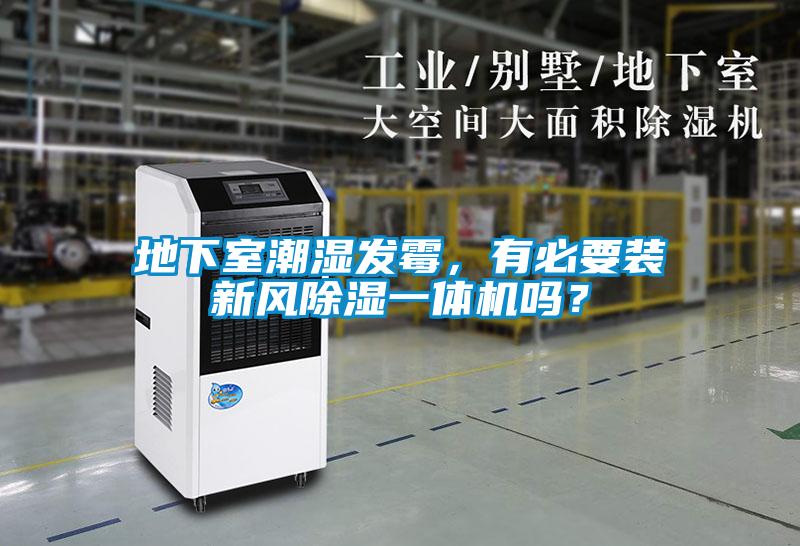 地下室潮濕發黴，有必要裝新風91看片在线下载一體機嗎？