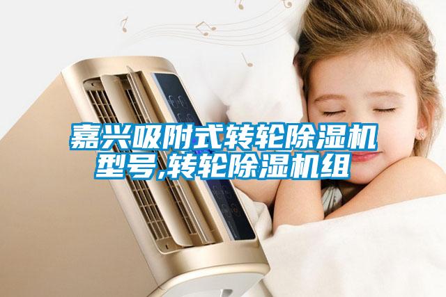 嘉興吸附式轉輪91看片在线下载機型號,轉輪91看片在线下载機組