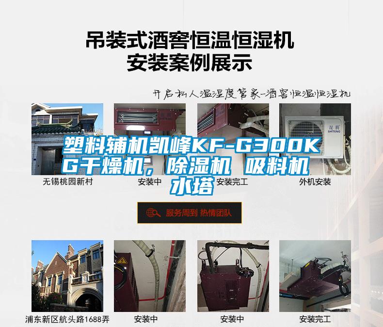 塑料輔機凱峰KF-G300KG幹燥機，91看片在线下载機 吸料機 水塔