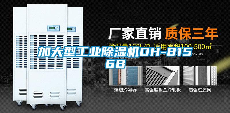 加大型工業91看片在线下载機DH-8156B